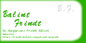 balint frindt business card